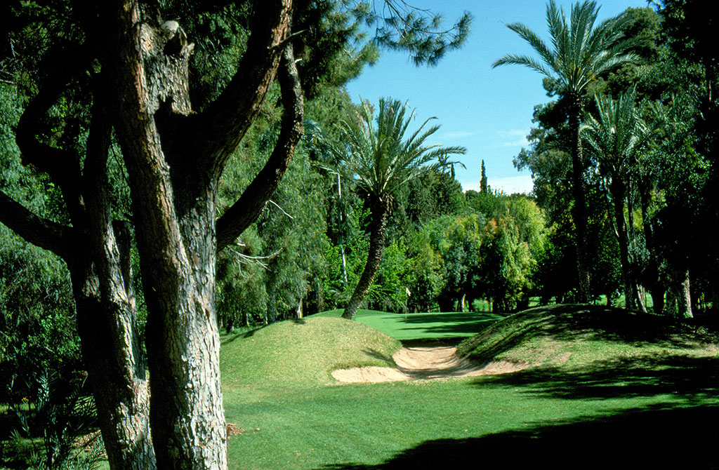 Les bois du Royal Golf Marrakech.