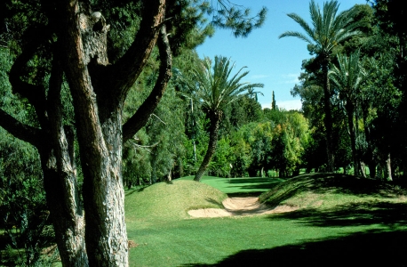 Les bois du Royal Golf Marrakech.